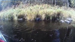 Река оять. ловля трофейной щуки!