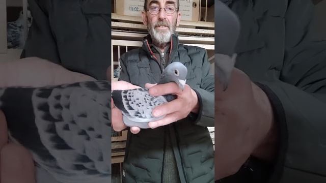 end of season 2023 смотреть онлайн