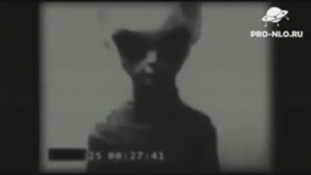 ПОСМОТРИ ЭТО! Видео-подборка с живыми Инопланетянами