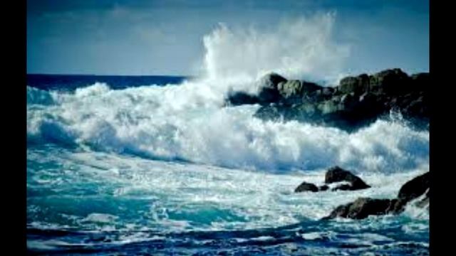 ЖИТЬ а НЕ ВЫЖИВАТЬ 2020 Отец Абсолют приняла Марта МД смотреть онлайн