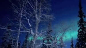 Halestorm "O Holy Night" Vocal By Lzzy Hale