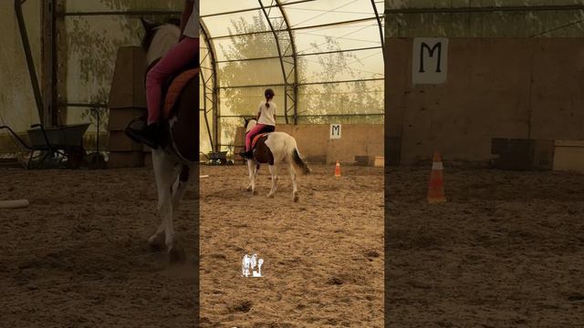Настя и Тася сегодня на тренировке. 🙂