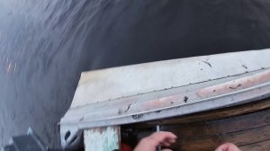 29.05.2020 \ Ловим ЯЗЯ и не только \ Самая уловистая снасть по большой воде