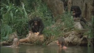 River Swimming Wetlook