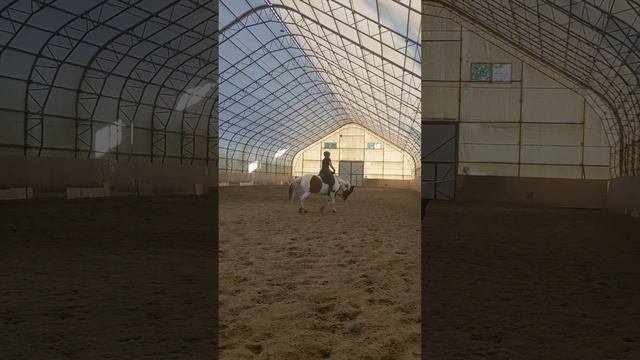 Сегодня с Риммой на тренировке. Отлично с Лунтиком сработались. ?