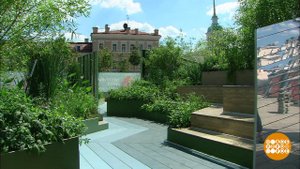 "Цветочный джем": здесь будет город-сад. Доброе утро. Фрагмент выпуска от 20.06.2019