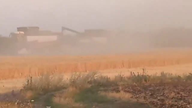 Комбайнёры, Трактористы 2021!!!