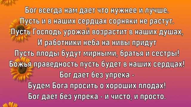 На праздник жатвы.Елена Ваймер смотреть онлайн