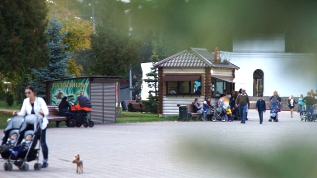 Физическая активность