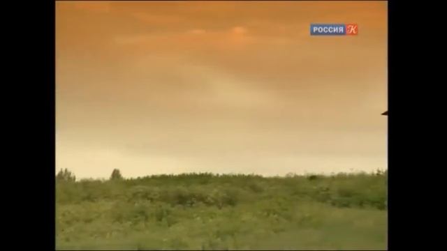 Мария Пахоменко Карелия смотреть онлайн