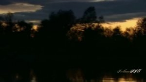 Вероника Тушнова  ❝Одна сижу на пригорке...❞