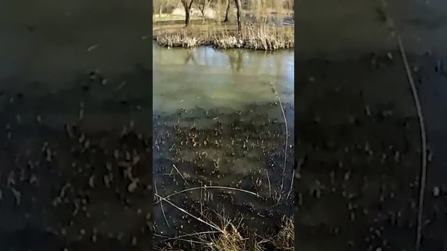 EACHINE E58 CAMERA QUALITY TEST FLYING OVER FROZEN LAKE смотреть онлайн