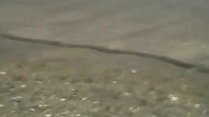 Ветер 30 м/с дул с моря...