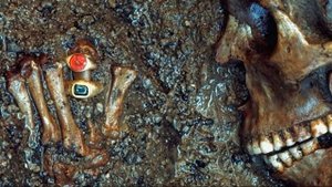 РАСКОПКИ КУРГАНА "КОЛЬЦЕВОЙ ЛЕДИ" / КОЛИЧЕСТВО ЗОЛОТЫХ ИЗДЕЛИЙ ПОРАЗИЛО !!!