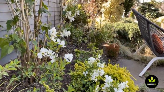 From My Garden to Yours — April 9, 2020 смотреть онлайн