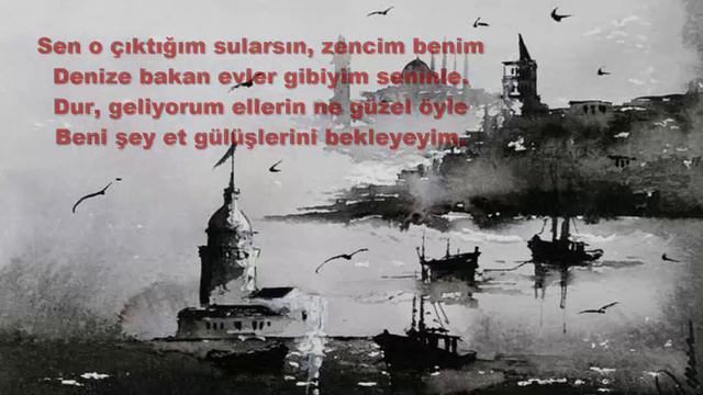 BEN SENİN KRALLIĞIN ÜLKENE YETİŞTİM (Sone) Şiir: İlhan BERK - Seslendiren: Cemal ELMAS
