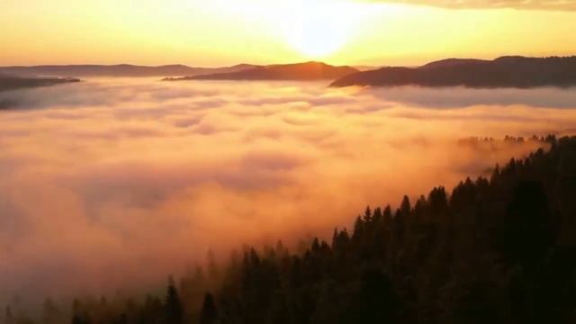 "МОЛИТВА."- Автор Татьяна Ворона-Читает  Мила Мик.Продюссер видео Игорь Ворона.