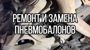 Mercedes на пузе?  Смотри КАК меняют пневмобалоны в сервисе!