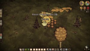 Как убить Королеву пчел don't starve together в СОЛО! ГАЙД!