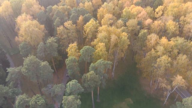 Балашиха. Парк Пехорка