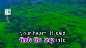 I LOVE YOU celine dion karaoke