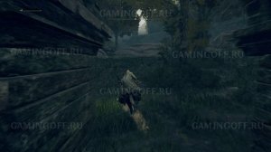 Где находится Кристальная слеза веры в локации Лесные руины полулюдей в Elden Ring