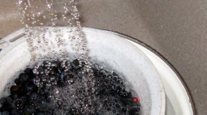 Варенье из черники густое