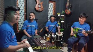 CAMELIA 2 KARAOKE NADA COWOK rhoma irama