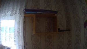 Миша делает полки.  Жарим беляшики и печем хлеб.