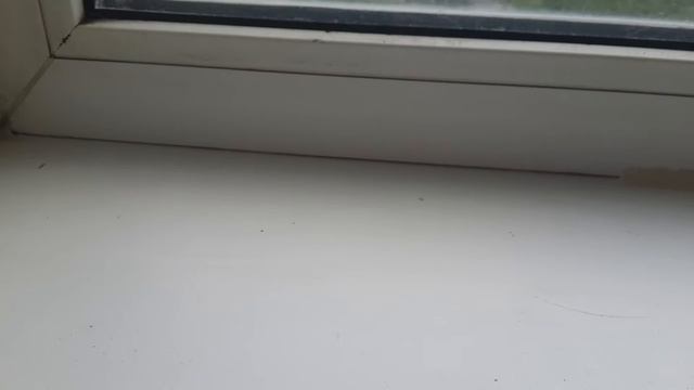 Как и чем убрать силиконовый герметик с пластиковых окон смотреть онлайн