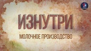 Изнутри - Молочное производство.mp4