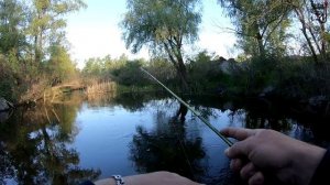 Как поймать РЫБУ на Ультралайт. МИКРОДЖИГ