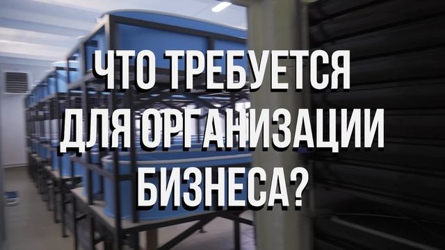 Видео БИЗНЕС ПЛАН форелевой ФЕРМЫ УЗВ на 100 ТОНН В ГОД | Чем ПЕРСПЕКТИВЕН рыбоводный БИЗНЕС?
