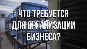 Видео БИЗНЕС ПЛАН форелевой ФЕРМЫ УЗВ на 100 ТОНН В ГОД | Чем ПЕРСПЕКТИВЕН рыбоводный БИЗНЕС?