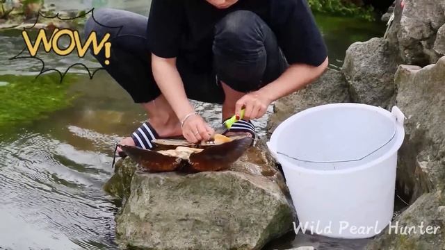 Pearl girl finds freshwater shells in creek and takes out pearls to make jewelry