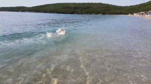 Тренировка на открытой воде. 25 метров кроль ?