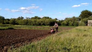 Культивация мотоблоком кентавр 9 л. с.