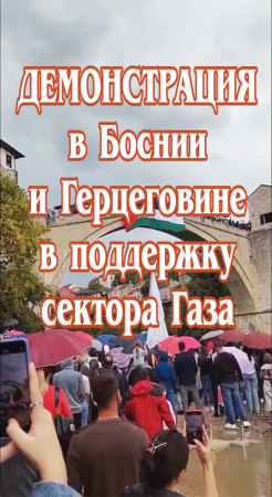 Демонстрация в Боснии и Герцеговине в поддержку сектора Газа.