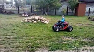 Электромобиль Kids Cars JS318 Электрический квадроцикл Electric Toys BEACH CAR JS318