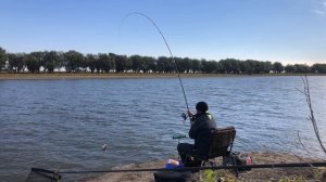 Рыбалка на Красивой Реке / Ловля Сазана Осенью