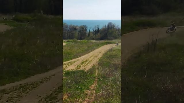 белки-летяги в реальности)) смотреть онлайн