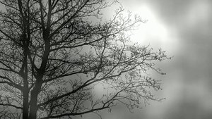 Футаж. Осенний пейзаж 25  Footage. Autumn landscape 25