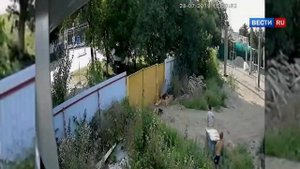Два пацана воруют тележку.Угар