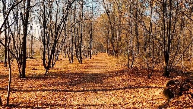 Каждый раз иду в отпуск зимой, чтобы не ездить на ненавистную дачу смотреть онлайн