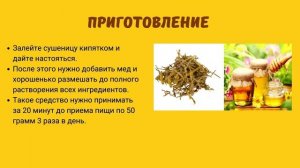 Рецепт от язвы 12 перстной кишки - мёд сушеница болотная