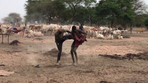 ЮЖНЫЙ СУДАН. ПЛЕМЯ МУНДАРИ. South Sudan. The Mundari tribe.