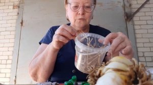 Луковицы лилии обработка и хранение..