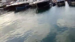 Рыбалка в морском порту Сочи: Кефаль