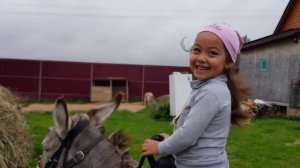 КАКОЕ В ДЕРЕВНЕ ХОЗЯЙСТВО МОЛОЧНАЯ ОСЛИЦА СЕНО