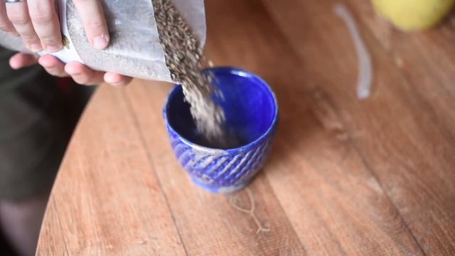 AKADAMA e CAROLINA SOIL substratos PERFEITOS para SUCULENTAS смотреть онлайн